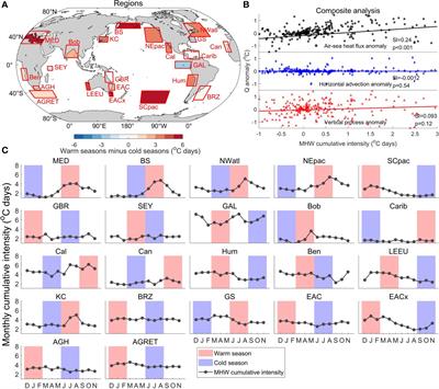 Seasonal dynamics of global marine heatwaves over the last four decades